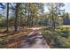 Long driveway leading through a wooded area at 1490 Lee Peters Rd, Loganville, GA 30052