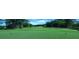 Golf course with lush green fairways and trees at 3810 Reserve Overlook Lot14 Way, Cumming, GA 30041