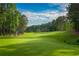 Green golf course with trees and a flag at 53 Colonial Ter, Villa Rica, GA 30180