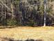 Wooded area with dry grass in the foreground at 515 Penny Ln, Loganville, GA 30052