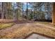 Landscaped backyard with stone pathway and shed at 20 Jasmine Lane, Oxford, GA 30054