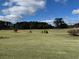 Scenic golf course view with lush greens and trees under a partly cloudy sky at 3233 Greenhill Dr, Villa Rica, GA 30180