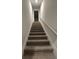 Carpeted staircase leading to the upper level at 3233 Greenhill Dr, Villa Rica, GA 30180