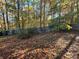 Large backyard with wooded area and fall leaves at 5464 Martins Crossing Rd, Stone Mountain, GA 30088