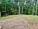 Wooded backyard with a grassy area at 371 Ajo Way, Dallas, GA 30157