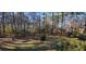 Wooded backyard with grassy area and playset at 2613 Hewatt Rd, Snellville, GA 30039