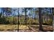 Wooded backyard with a large grassy area at 2613 Hewatt Rd, Snellville, GA 30039