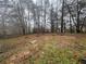 Wooded backyard with cleared areas and tree stumps at 3550 Leisure Ln, Atlanta, GA 30349