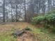 Wooded backyard with lush green vegetation at 3550 Leisure Ln, Atlanta, GA 30349
