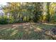 Wooded backyard with a hanging chair at 116 Turman Se Ave, Atlanta, GA 30315