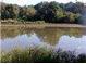 Serene lake view with lush trees and tranquil reflections at 129 Talon Pl, Mcdonough, GA 30253