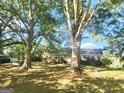Ranch home with large front yard and mature trees at 433 Mount Moriah Rd, Auburn, GA 30011