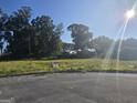 Vacant lot with trees and street view at 5716 Laney Dr, Rex, GA 30273