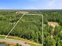 Large wooded lot ready for new construction; excellent privacy at 115 Grace Hope Dr, Brooks, GA 30205