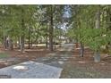 Long driveway leading to a home nestled amongst trees at 365 Pendleton Trl, Tyrone, GA 30290