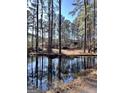 Tranquil pond view of home with lush trees at 779 Dial Mill Rd, Oxford, GA 30054