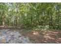 Private lot with mature trees and gravel driveway at 250 Ebenezer Rd, Fayetteville, GA 30215