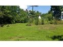 Overgrown vacant lot with a teepee in the background at 1117 Highway 293 Se, Cartersville, GA 30121