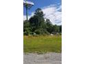 Vacant lot with some vegetation and a billboard in the background at 1117 Highway 293 Se, Cartersville, GA 30121