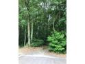 Wooded area with tall trees and lush green undergrowth at 1940 Lee Rd, Lithia Springs, GA 30122