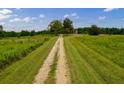 Long driveway leading to a charming country home at 1850 Newborn Rd, Rutledge, GA 30663