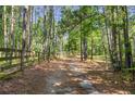 Secluded wooded area with a long private driveway at 3143 Demooney Rd, College Park, GA 30349