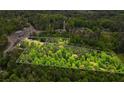 Aerial view showcasing a large lot abundant with lush green trees at 3813 Stonewall Tell Rd, South Fulton, GA 30349