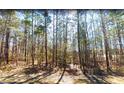 Wooded lot perfect for building your dream home at 7606 Nebo Rd, Hiram, GA 30141