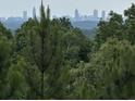 View of Atlanta skyline from wooded area at 220 Ridgecrest Se Rd, Mableton, GA 30126