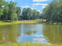 Peaceful pond surrounded by trees, reflecting the sky and clouds at 1206 Brooks Ryan Run(Lot 102), Lawrenceville, GA 30043
