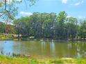 Serene pond view with lush green trees and a partly cloudy sky at 1206 Brooks Ryan Run(Lot 102), Lawrenceville, GA 30043