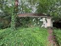 Small building covered in vines in a lush backyard setting at 1003 Edie Se Ave, Atlanta, GA 30312