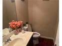 Simple bathroom with toilet and vanity at 1080 Meadow Walk Ave, Lawrenceville, GA 30044