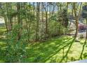 Spacious backyard with lush greenery and a partially visible paved area at 5163 Lakeside Dr, Dunwoody, GA 30360