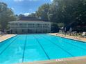 Community swimming pool with lounge chairs at 2631 Gladstone Ter, Woodstock, GA 30189