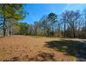 Wooded lot with ample space for outdoor activities at 6865 Cowan Mill Rd, Winston, GA 30187