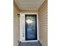 Black front door with glass inserts and sidelight at 835 Amelia Grove Ln, Lawrenceville, GA 30045