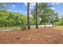 Scenic view of a calm river bordered by lush greenery at 1053 Riverbend Club Se Dr, Atlanta, GA 30339