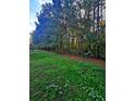 Wooded backyard with grassy area at 1535 Iris Walk, Jonesboro, GA 30238