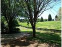 View 10561 E Cherokee Dr Canton GA