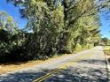 Wooded lot view from the road at 4760 Oglesby Rd, Powder Springs, GA 30127