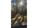 Sunny wooded lot with tall trees and shadows at Lot 15 Fairview Springs Dr, Ellenwood, GA 30284