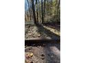 Wooded lot with a curb and tall trees at Lot 15 Fairview Springs Dr, Ellenwood, GA 30284