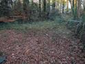 Overgrown backyard with leaf-covered ground and a fence at 4922 Rock Springs Rd, Lithonia, GA 30038