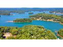 Stunning aerial view showcasing a lakefront property with lush greenery at 7802 Bamby Rd, Cumming, GA 30041