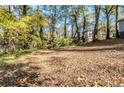 Large side yard with mature trees and leaves at 231 Glenrose Sw Cir, Atlanta, GA 30354