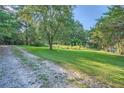Gravel driveway next to a grassy yard with trees and bushes at 1565 Dr Bramblett Rd, Cumming, GA 30028