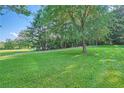 Lush green yard with a mature tree and clear blue sky at 1565 Dr Bramblett Rd, Cumming, GA 30028