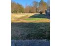 Spacious backyard with mature trees and open space at 230 Highland Blvd, Stockbridge, GA 30281