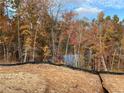 Aerial view of homesite with beautiful lake view and autumn trees at 413 Solace Pl, Canton, GA 30114